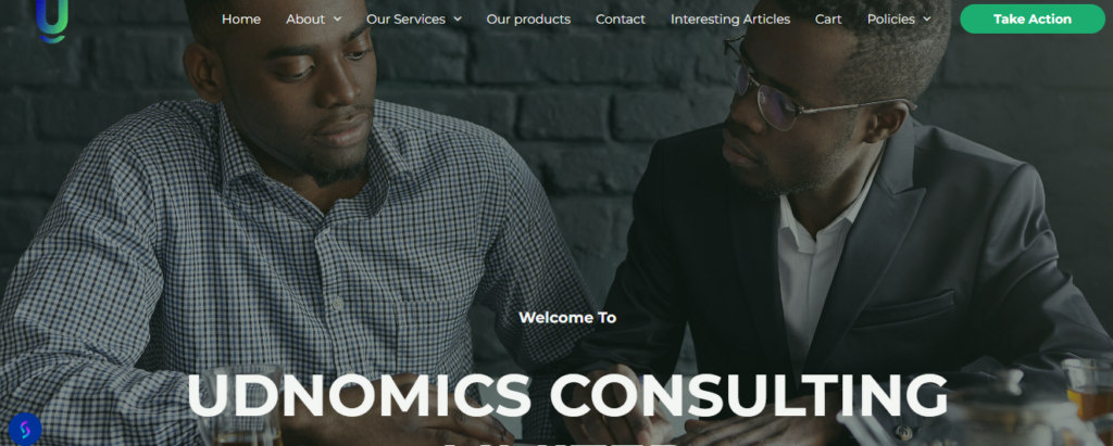 business consulting website development in nigeria – udnomics concept