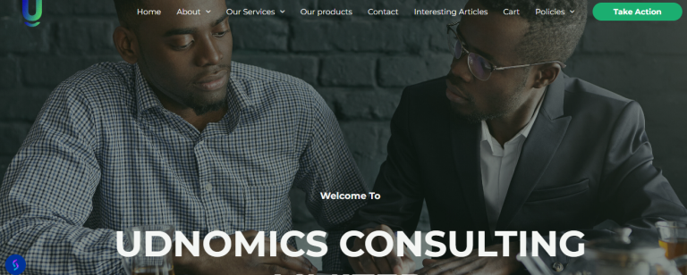 Business Consulting Website Development in Nigeria – Udnomics Concept