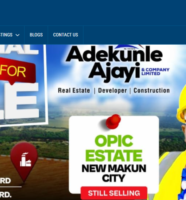 Business Consulting Website Development in Nigeria – Udnomics Concept Adekunle Ajayi Website - Abraham Awoleye