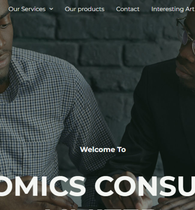 Business Consulting Website Development in Nigeria – Udnomics Concept